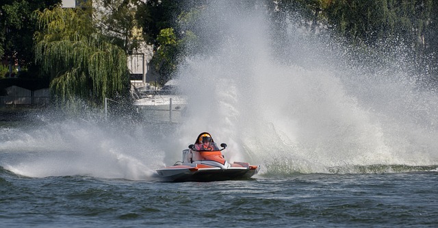 这种和谐的 这种和谐的