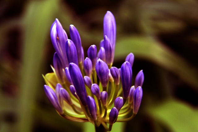 壇的世代更 壇的世代更