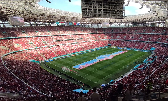 体育活动的 体育活动的