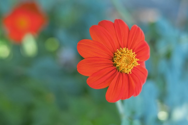 22／23賽季歐冠官方周最佳球員候選：哈蘭德、本澤馬領銜！.